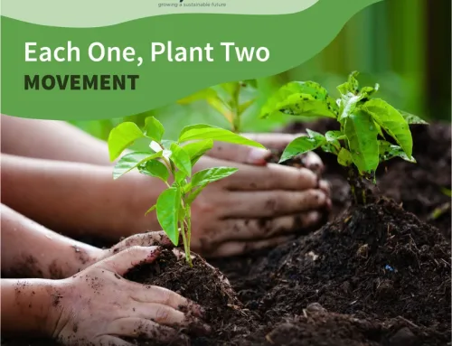 Each One, Plant Two Movement