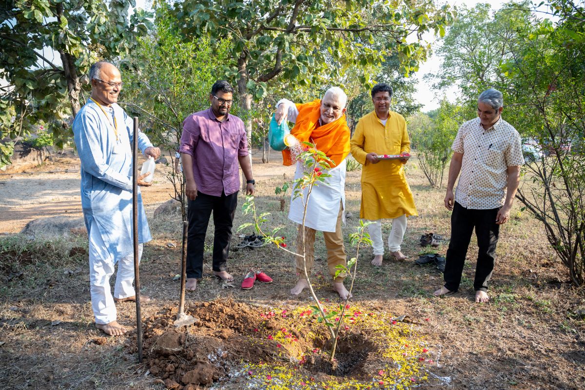 TSF-My-My-Tree-1200×800-04